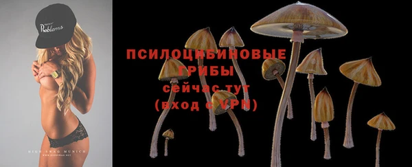 MDMA Premium VHQ Волоколамск